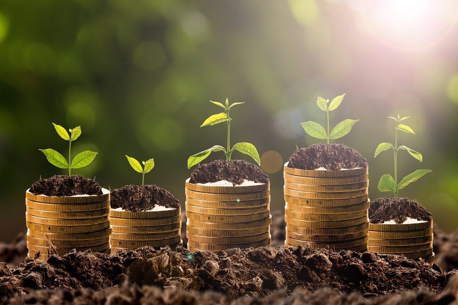 Financial Planning