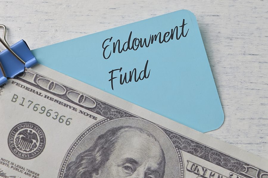 I Stock 1368219212 KAM Endowment blog